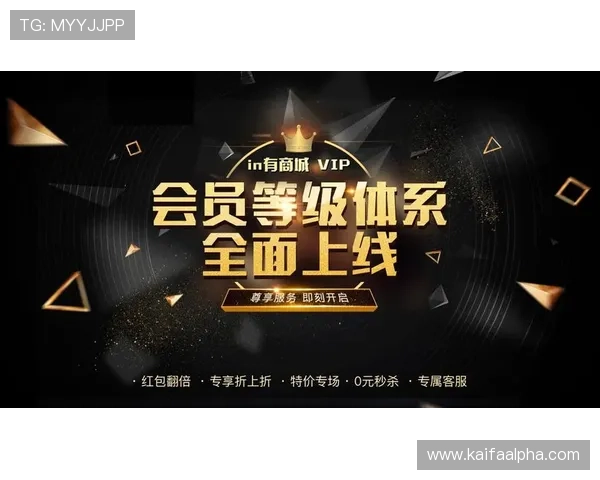 2024年最新ag贵宾厅游戏账号升级与维护方法，提升账号等级和福利